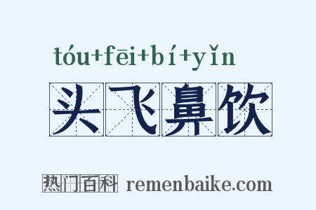 头飞鼻饮是什么意思的图片